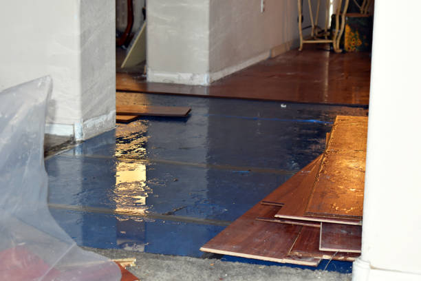 Professional Burst Pipe Cleanup technician working in Jefferson, GA